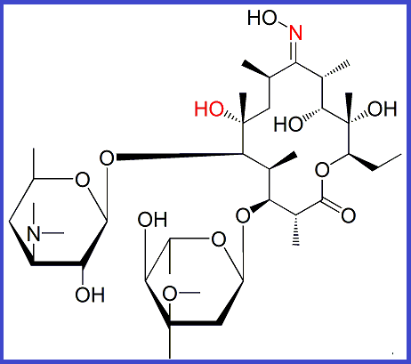 CLARITHROMYCIN EP IMPURITY J  (USP)